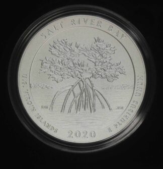 2020 Salt River Bay 5 oz Silver Quarter 99.9% Fine