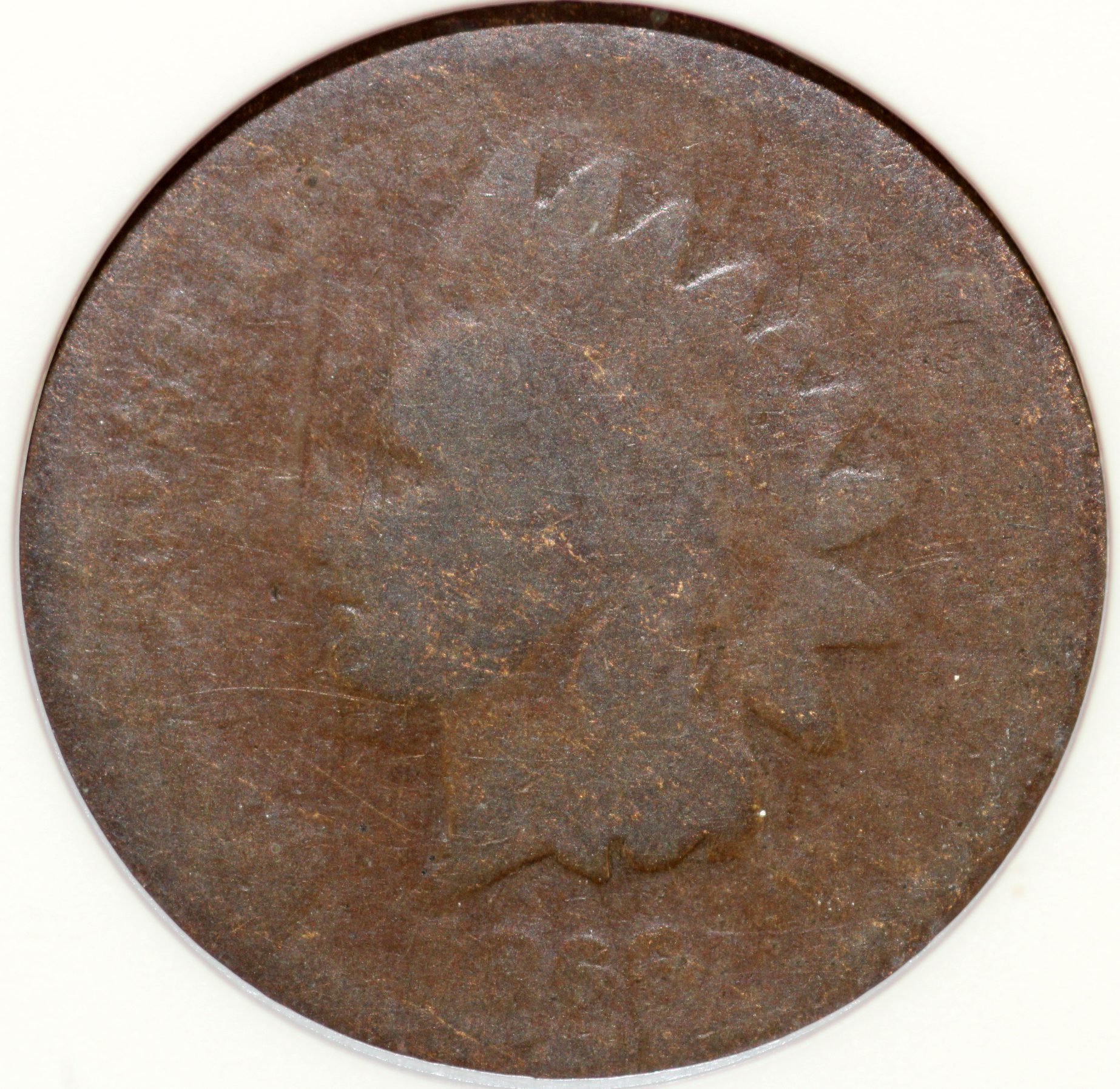 Auction 1866 Indian Head Cent FR2 ANACS - Image 3