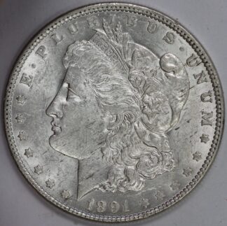 Auction - 1891 Morgan Dollar AU With Planchet Impurities