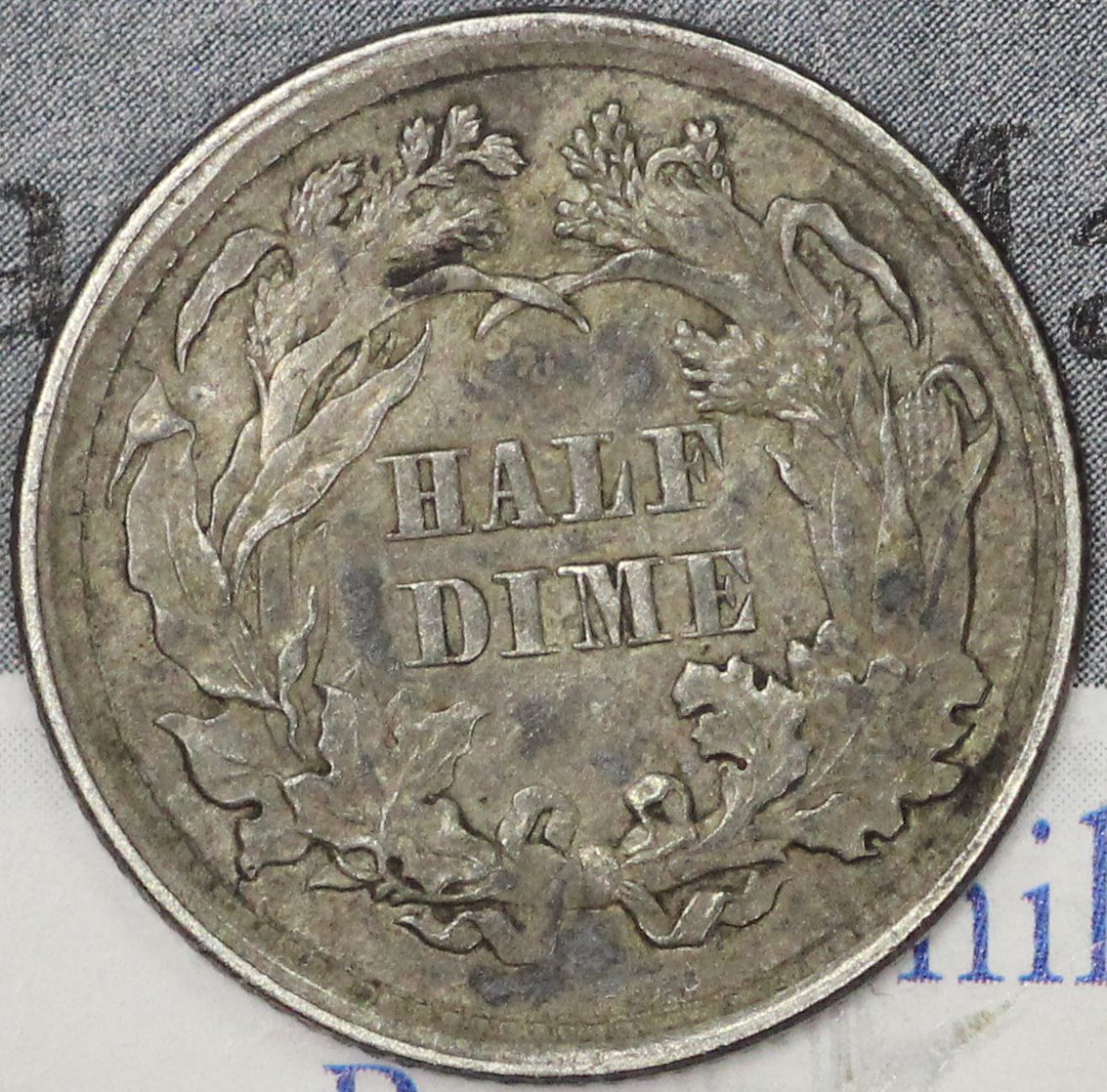Auction - 1861 Liberty Seated Half Dime VF - Album Toning - Image 2