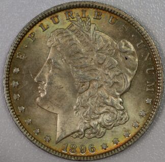 Auction - 1896 Morgan Dollar Toned