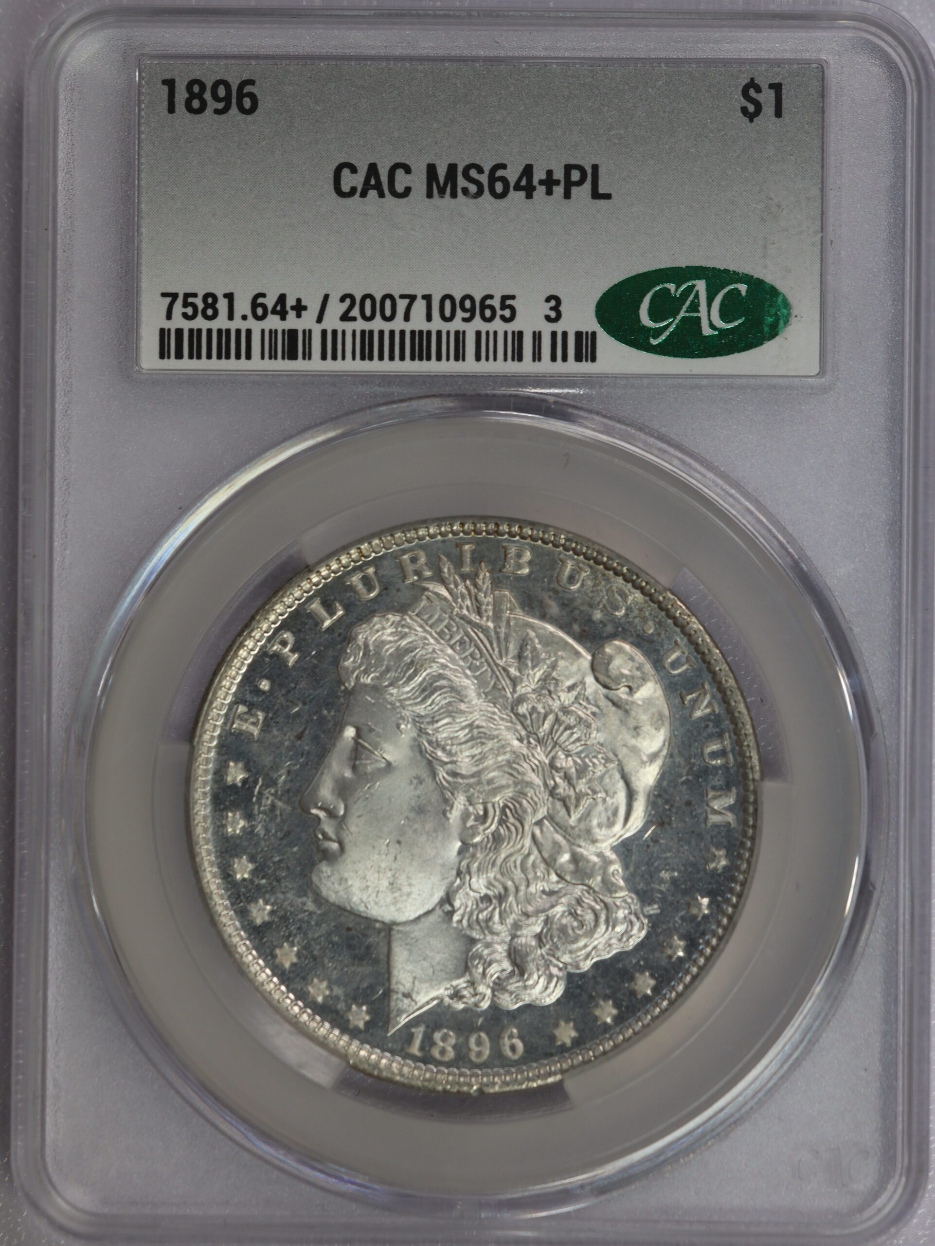 1896 Morgan Dollar ms64+ PL CACG