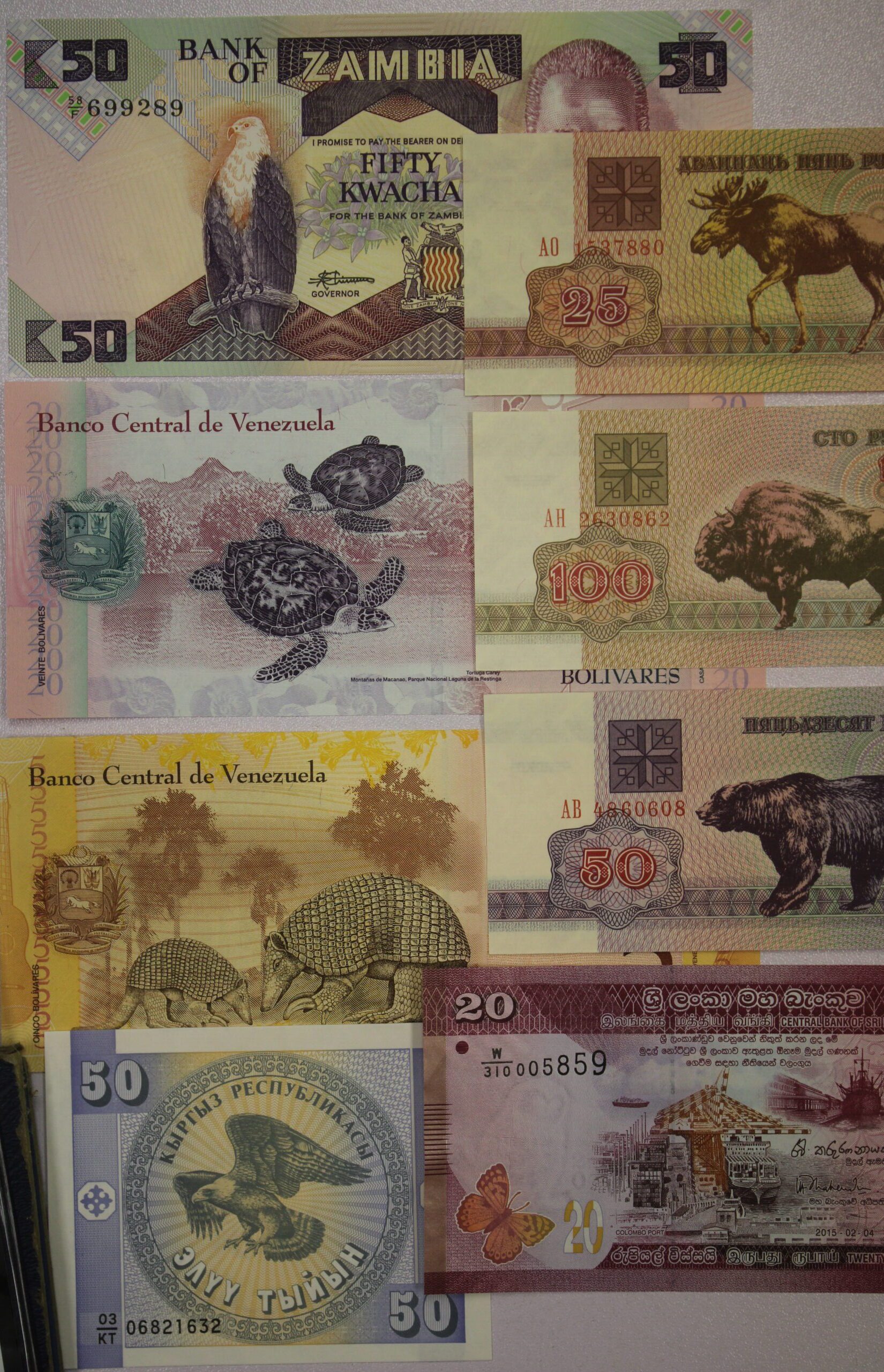AUCTION- 8 Different World Bank Notes With Wildlife