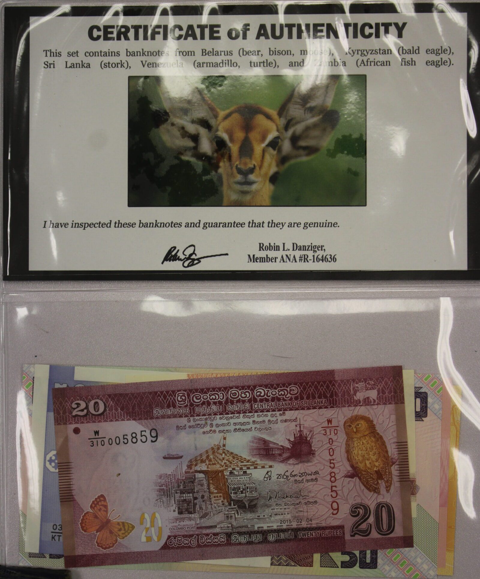 AUCTION- 8 Different World Bank Notes With Wildlife - Image 2