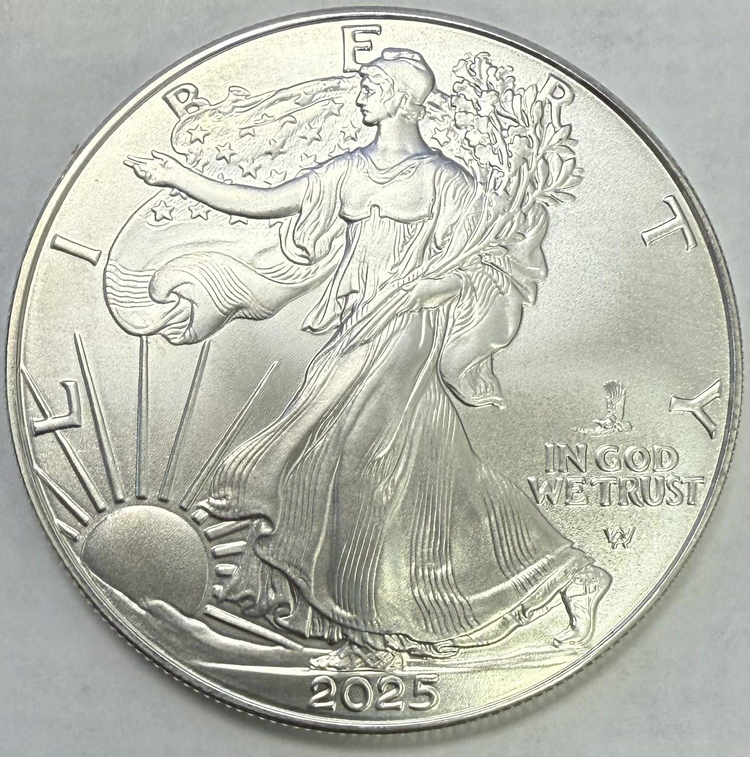 2025 (P) Silver Eagle UNC Eagle Privy