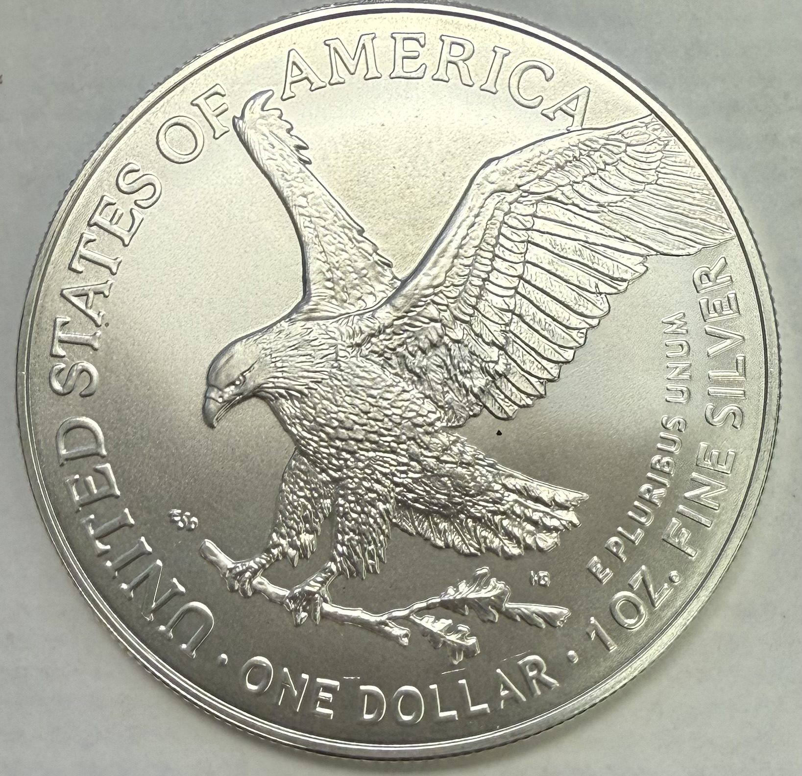 2025 (P) Silver Eagle UNC Eagle Privy - Image 3