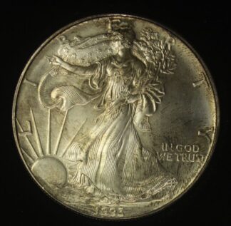 AUCTION-   1993 American Silver Eagle Toned & in a Box