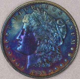 Auction - ARTIFICIALLY TONED! 1889 Morgan Dollar