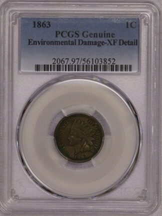 1863 Indian Head Cent XF Environmental Damage PCGS