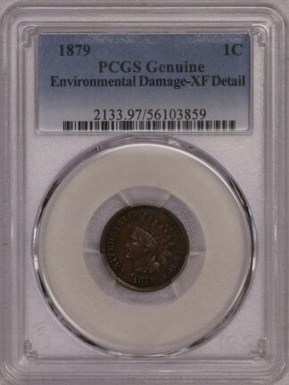 1879 Indian Head Cent PCGS XF Detail: Environmental Damage