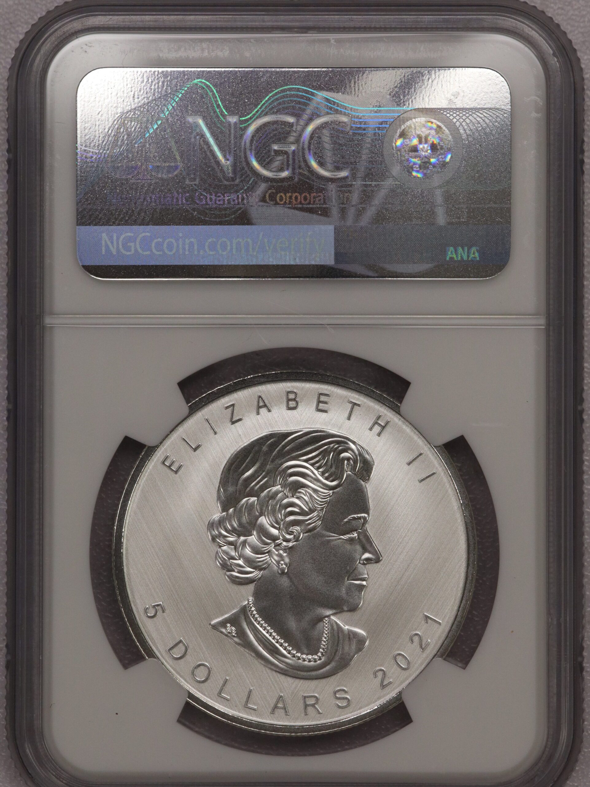 2021 W Tailored Specimen Silver $5 Maple Leaf Modified SP70 PCGS - Image 2