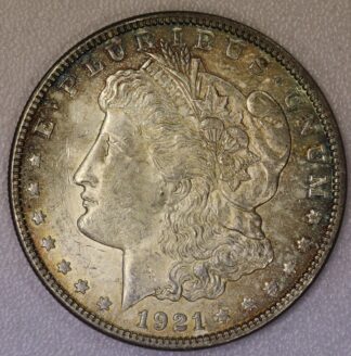 Auction - 1921 Morgan Dollar Toned