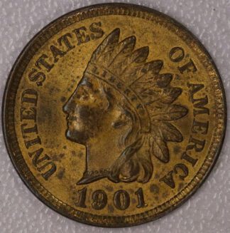Auction- 1901 Indian Head Cent MS RB