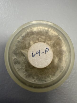 1964 Kennedy Half Uncirculated Roll of 20 Coins: Toned