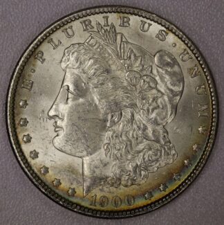 Auction- 1900 Morgan Dollar, Toned