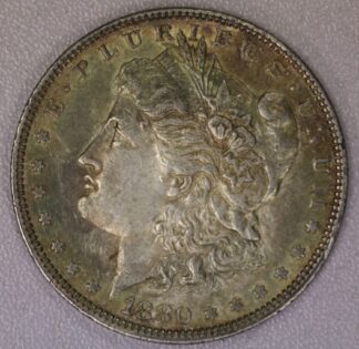 Auction- 1880-O Morgan Dollar, Toned