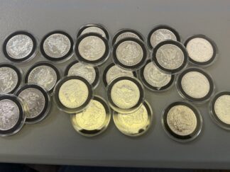(1) Random Cleaned and Polished Morgan Dollar in Capsule