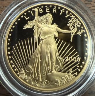 2006 Gold Eagle $25 Eagle 1/2 Ounce Proof Capsule Only