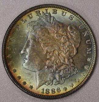 Auction-1886 Morgan Dollar Toned