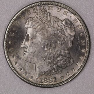 Auction-1881-S Morgan Dollar Toned, Damage on Reverse Rim