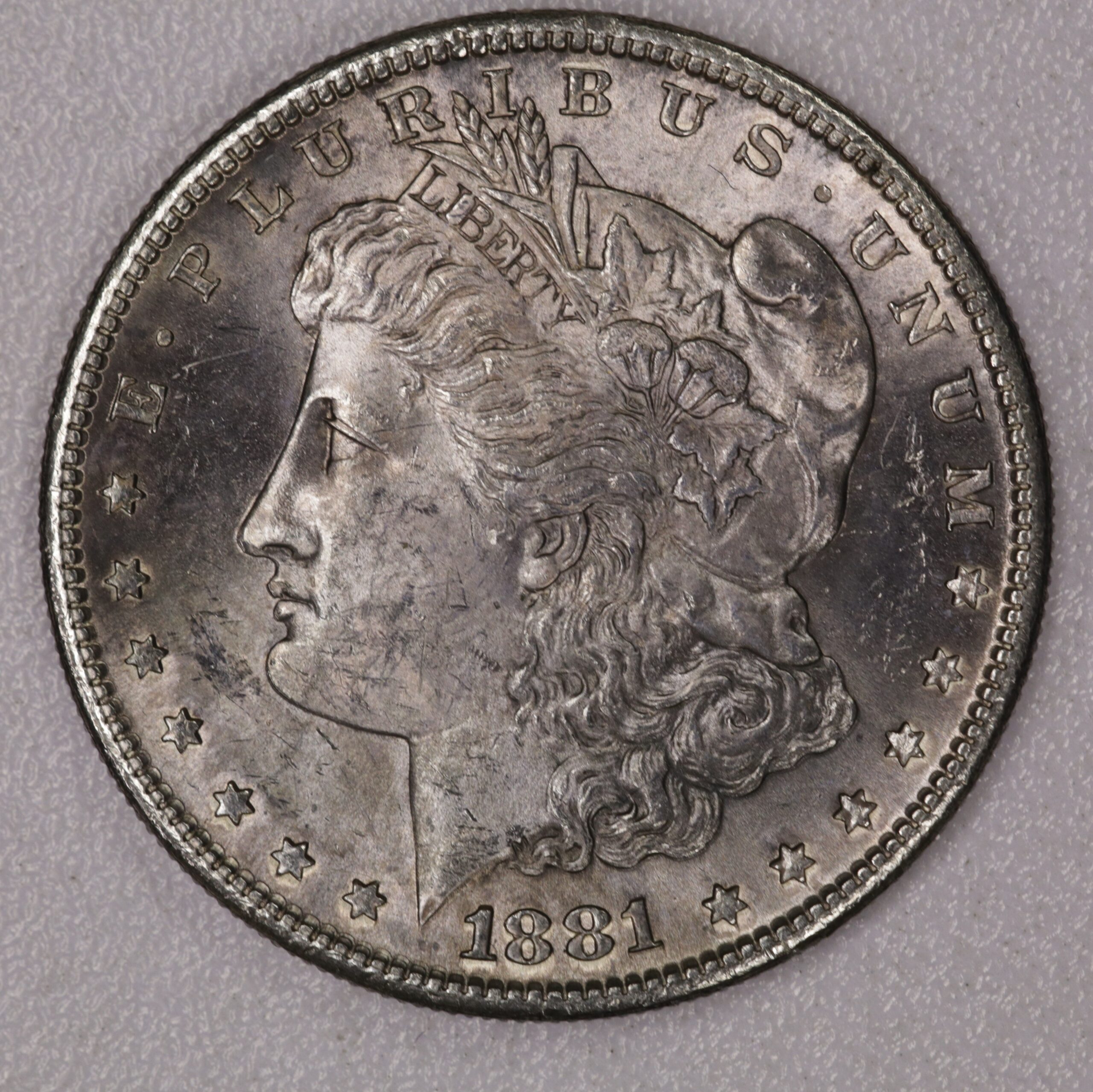 Auction-1881-S Morgan Dollar Toned, Damage on Reverse Rim