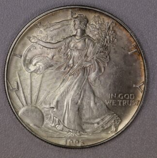 Auction-1993 Silver Eagle Toned
