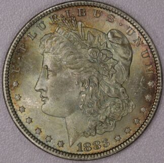 Auction-1883 Morgan Dollar Toned