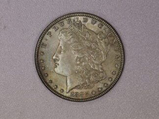 AUCTION-  1885 Morgan Silver Dollar Toned