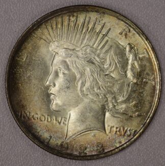 Auction-1923 Peace Dollar Toned