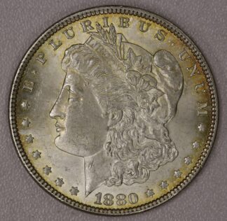 Auction-1880 Morgan Dollar Toned
