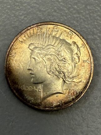 Auction-1923 Peace Dollar Toned