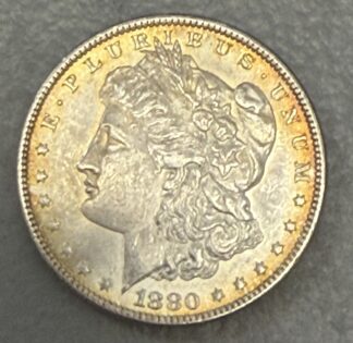 Auction-1880 Morgan Dollar Toned
