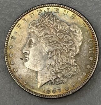 Auction-1887 Morgan Dollar Toned