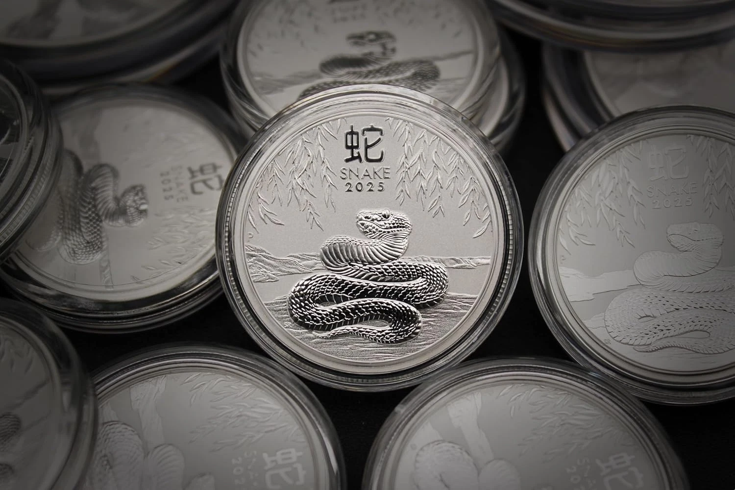 (1) 2025 P 1/2 Oz Silver Australian Lunar Series III Year of the Snake Coin - Image 4